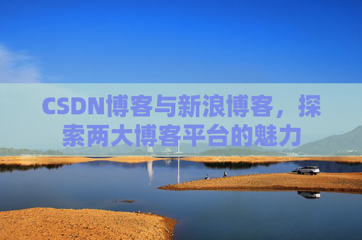 CSDN博客与新浪博客，探索两大博客平台的魅力